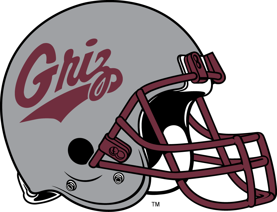 Montana Grizzlies 1996-Pres Helmet Logo DIY iron on transfer (heat transfer)